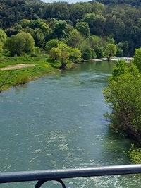 Anschließend werden Wasserstände gecheckt: hier der Einstieg in den Gardon bei Russan (ebenfalls schön viel Wasser).